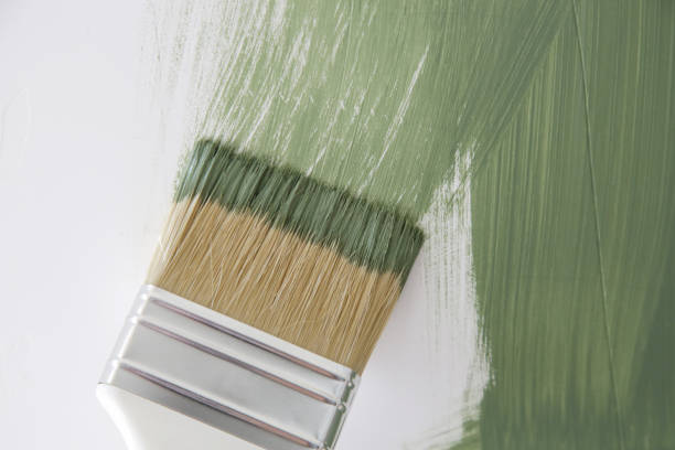  Belleair, FL Mold Removal Pros