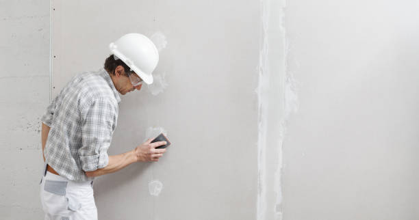 Best Commercial Mold Inspection  in Belleair, FL