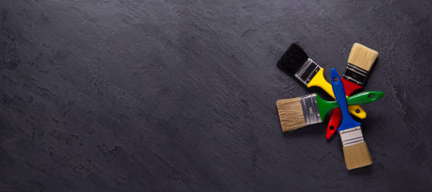 Professional Mold Removal in Belleair, FL