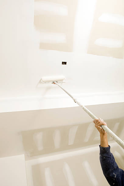 Best HVAC Mold Inspection and Cleaning  in Belleair, FL