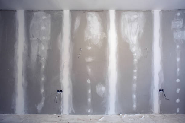 Mold Remediation for Vacation Homes in Belleair, FL